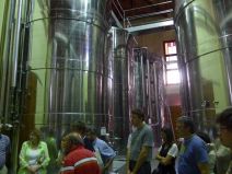 Stainless steel modern fermentation tanks